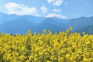 川崎前锋外援：客战山东泰山会很难，但曾随重庆队4-3赢过他们